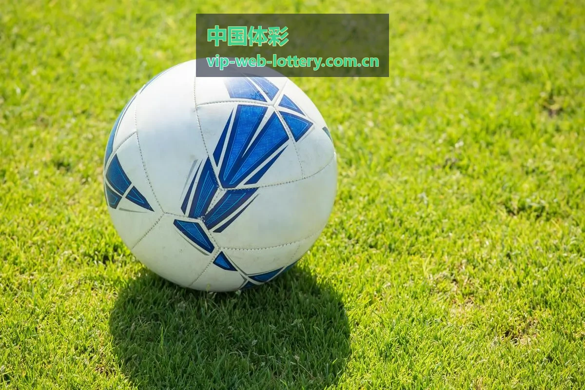 中国体彩历史数据频道